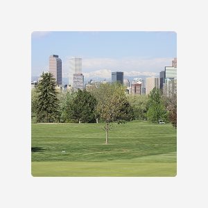 Albuquerque Parking Credit - $100