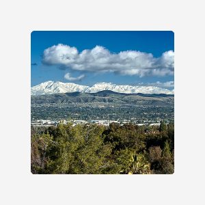 Anaheim Parking Credit - $1000