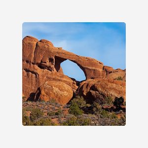 Anchorage Parking Credit - SAMPLE